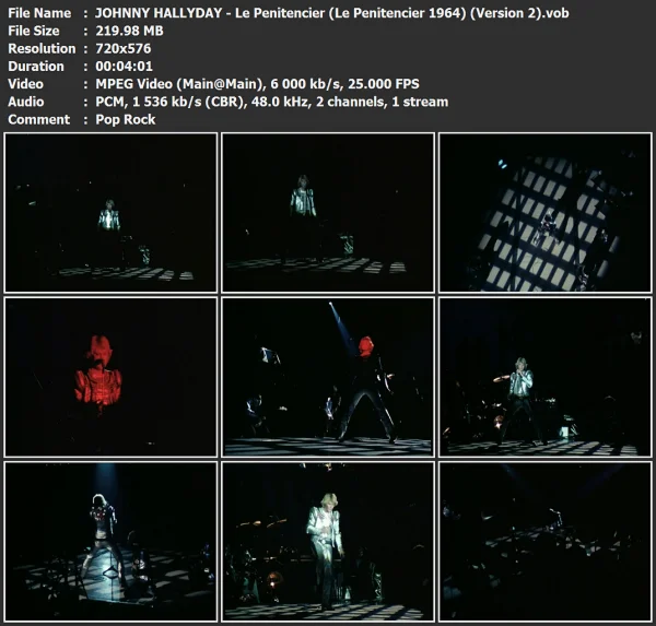 JOHNNY HALLYDAY - Le Penitencier (2)