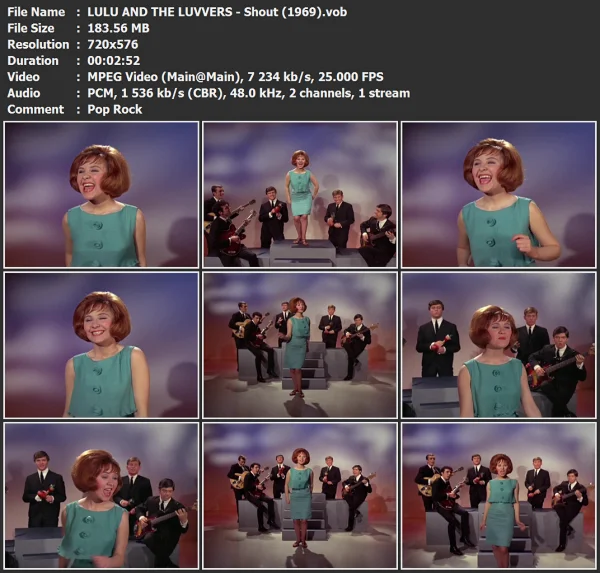 LULU AND THE LUVVERS - Shout