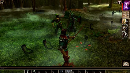 ⭐ Neverwinter Nights: Enhanced Edition - Wyvern Crown o