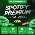 🎵🟢 SPOTIFY PREMIUM 🔥 1/3/6/12  — фото 1