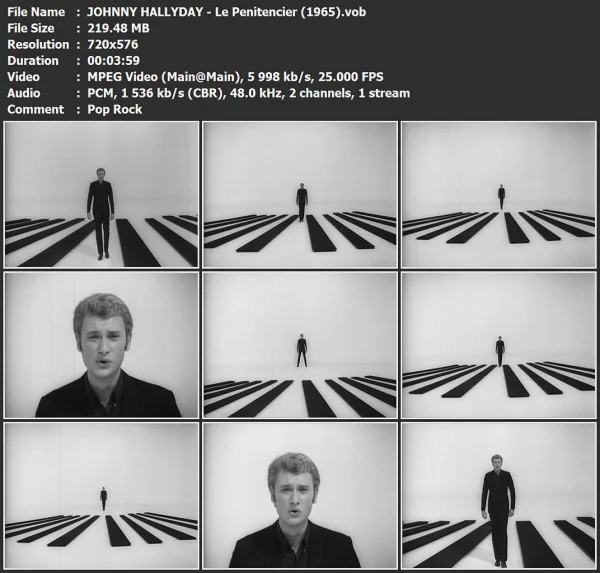 JOHNNY HALLYDAY - Le Penitencier