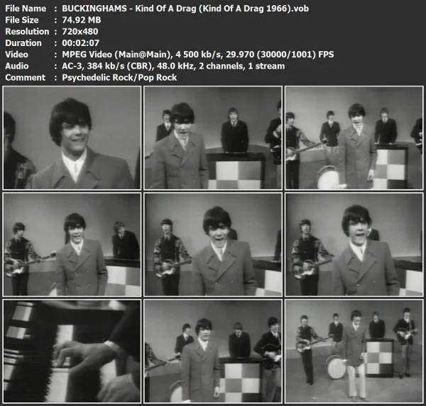 BUCKINGHAMS - Kind Of A Drag