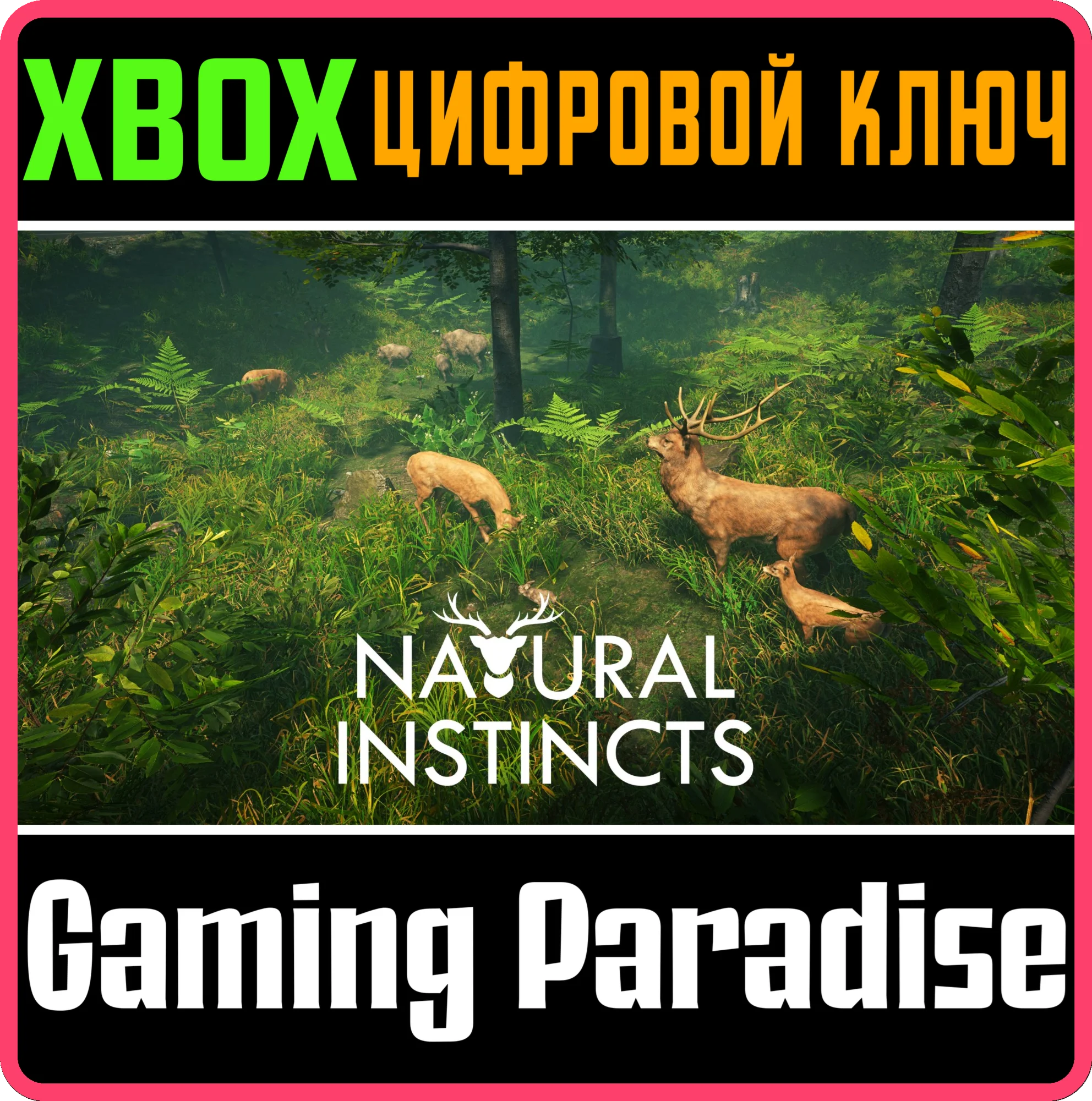 NATURAL INSTINCTSXBOX ONE/X|SКЛЮЧ