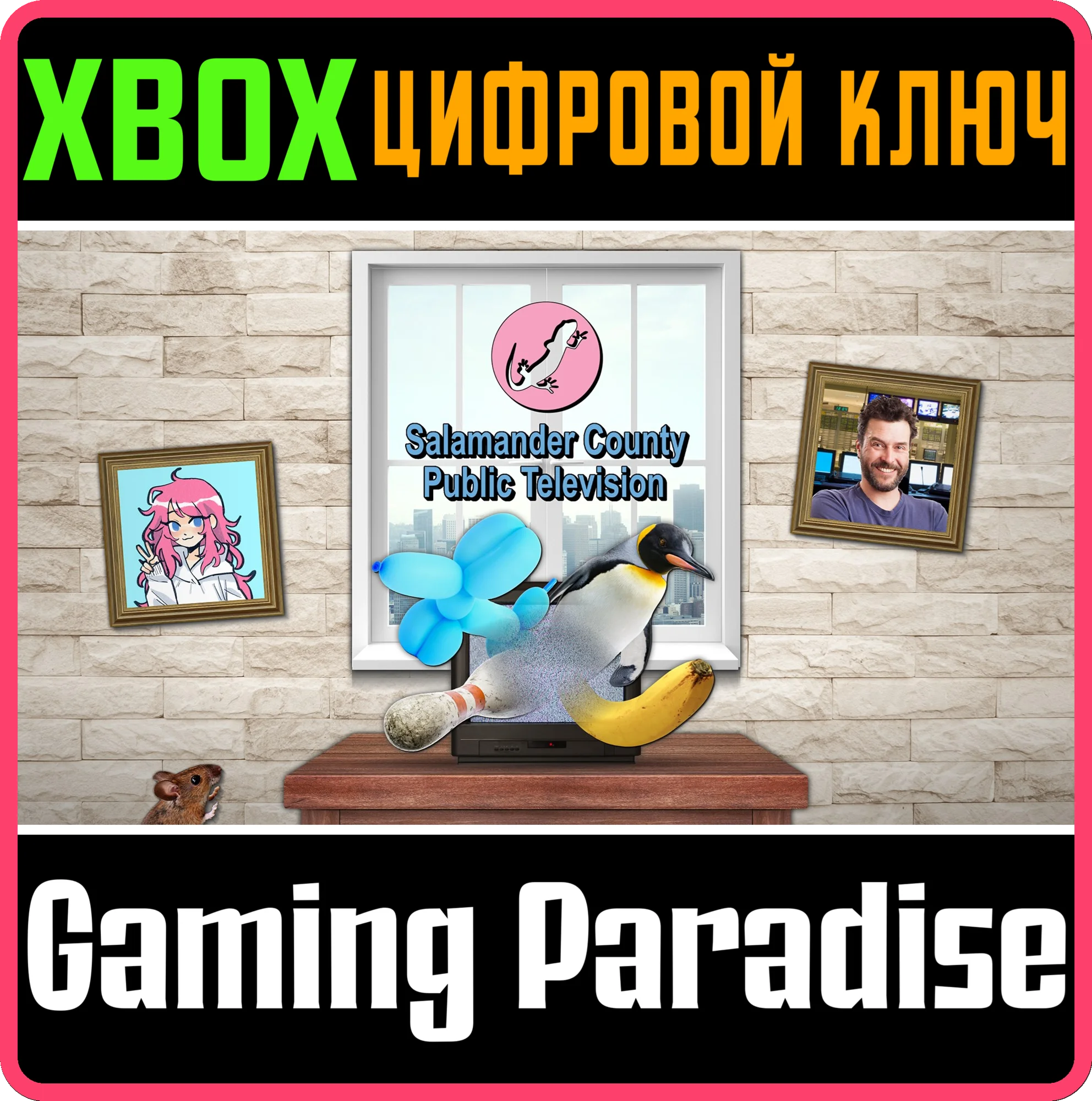 SALAMANDER COUNTY PUBLIC TELEVISIONXBOX ONE/X|SКЛЮЧ