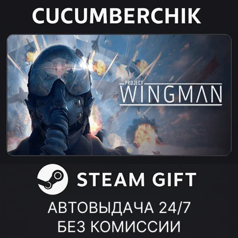 Project WingmanSTEAM GIFT AUTORU+МИР