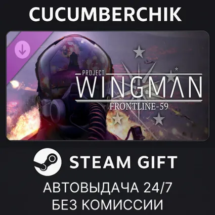 Project Wingman - Frontline 59 Campaign ✅ STEAM GIFT AUTO ✅ RU+МИР