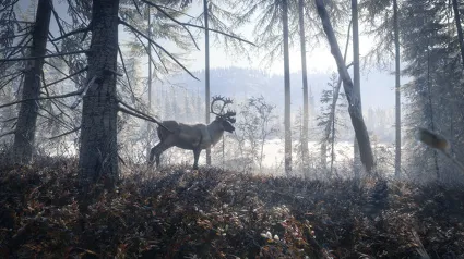 theHunter: Call of the Wild™ - Medved-Taiga ✅ STEAM GIFT AUTO ✅ RU+МИР