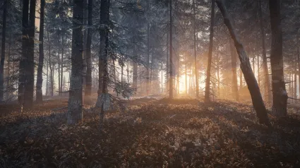 theHunter: Call of the Wild™ - Medved-Taiga ✅ STEAM GIFT AUTO ✅ RU+МИР