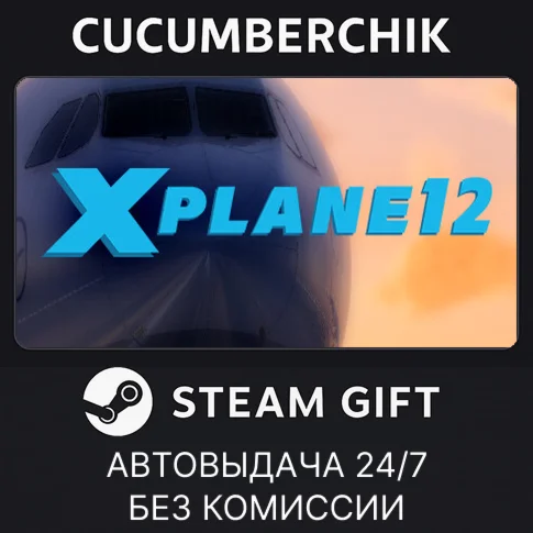 X-Plane 12STEAM GIFT AUTORU+МИР
