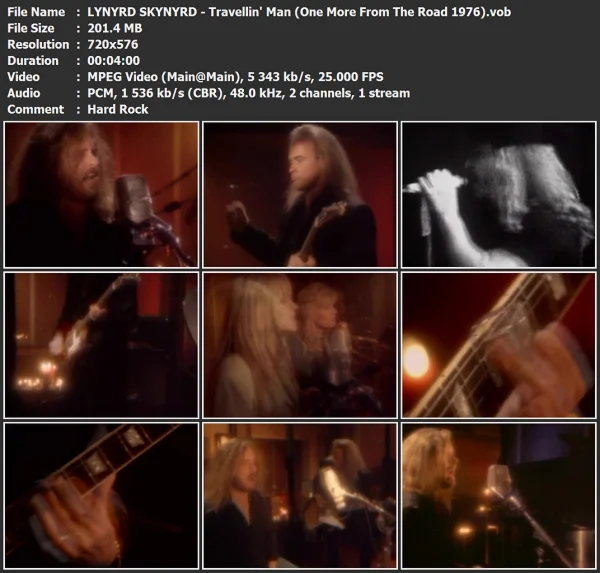 LYNYRD SKYNYRD - Travellin' Man