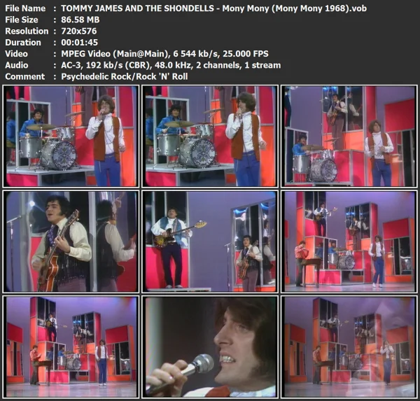 TOMMY JAMES AND THE SHONDELLS - Mony Mony