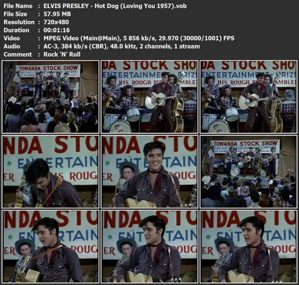 ELVIS PRESLEY - Hot Dog