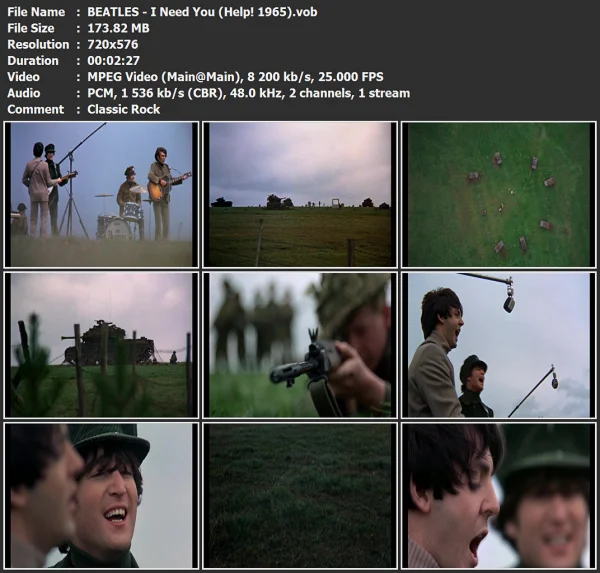 BEATLES - I Need You