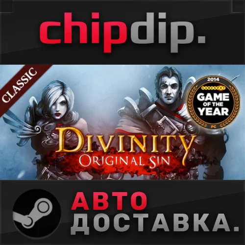 Divinity: Original Sin Enhanced Edition STEAM АВТО