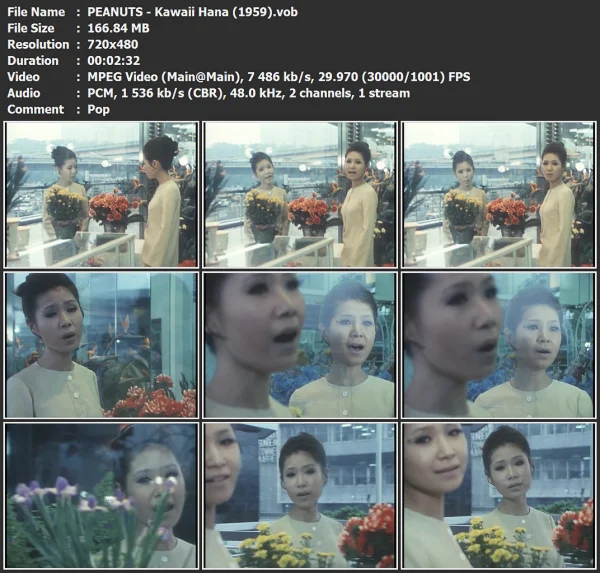 PEANUTS - Kawaii Hana