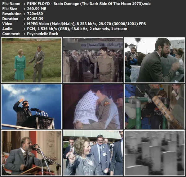 PINK FLOYD - Brain Damage