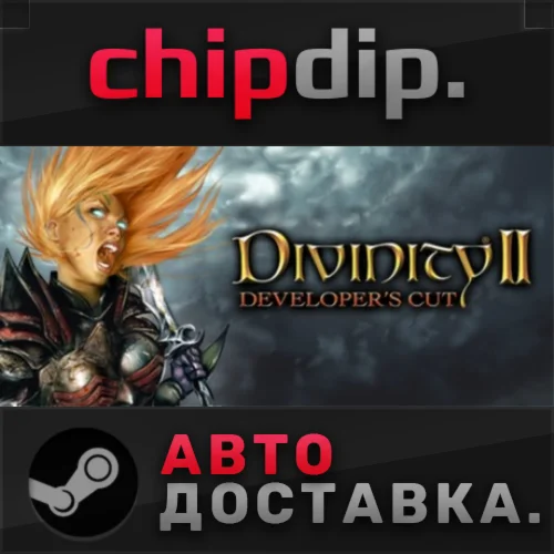 Divinity II Developer's Cut STEAM АВТО RU/UA/KZ/СНГ