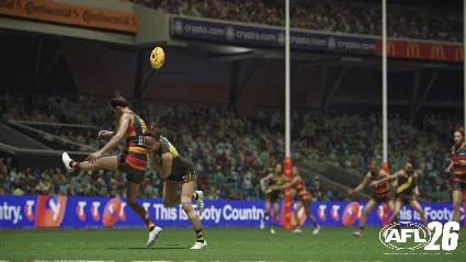 AFL 26 АВТОДОСТАВКА STEAM РОССИЯ