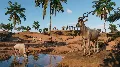 Planet Zoo: Arid Animal Pack S — фото 4