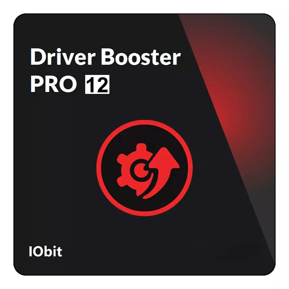 IObit Driver Booster PRO 12 - Key - 1 Year