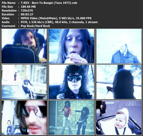 T.REX - Born To Boogie