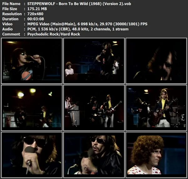 STEPPENWOLF - Born To Be Wild (2)