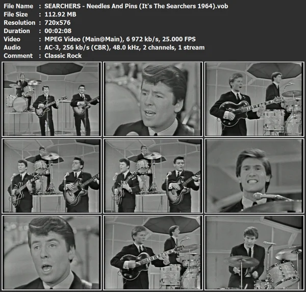 SEARCHERS - Needles And Pins