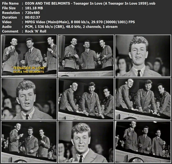 DION AND THE BELMONTS - Teenager In Love