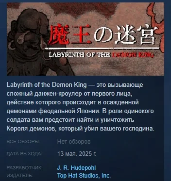 Labyrinth Of The Demon King АВТОДОСТАВКА STEAM РОССИЯ