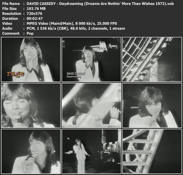 DAVID CASSIDY - Daydreamer