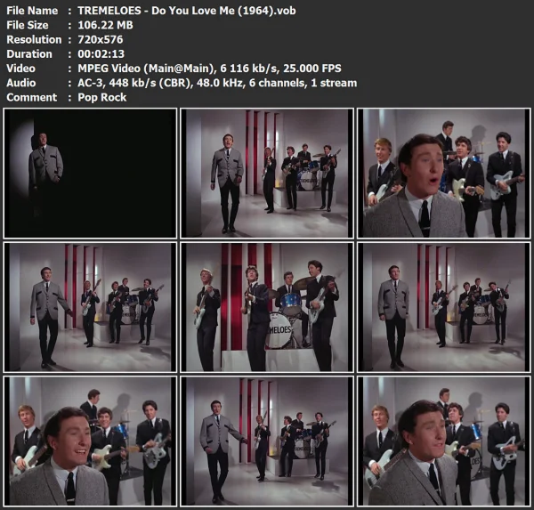 TREMELOES - Do You Love Me