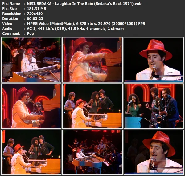 NEIL SEDAKA - Laughter In The Rain