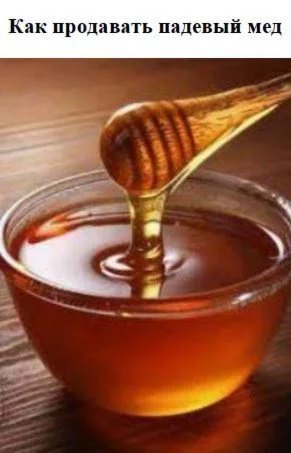 Как продавать падевый мед