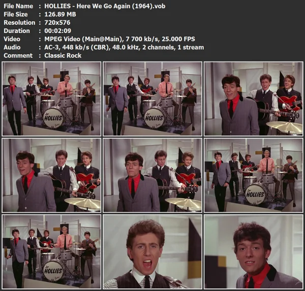 HOLLIES - Here We Go Again