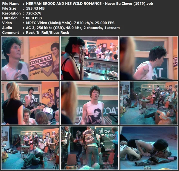 HERMAN BROOD AND HIS WILD ROMANCE - Never Be Clever