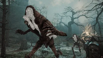 ⭐ ️Soulframe/ Beta Test / Ключ МИР ⭐ ️