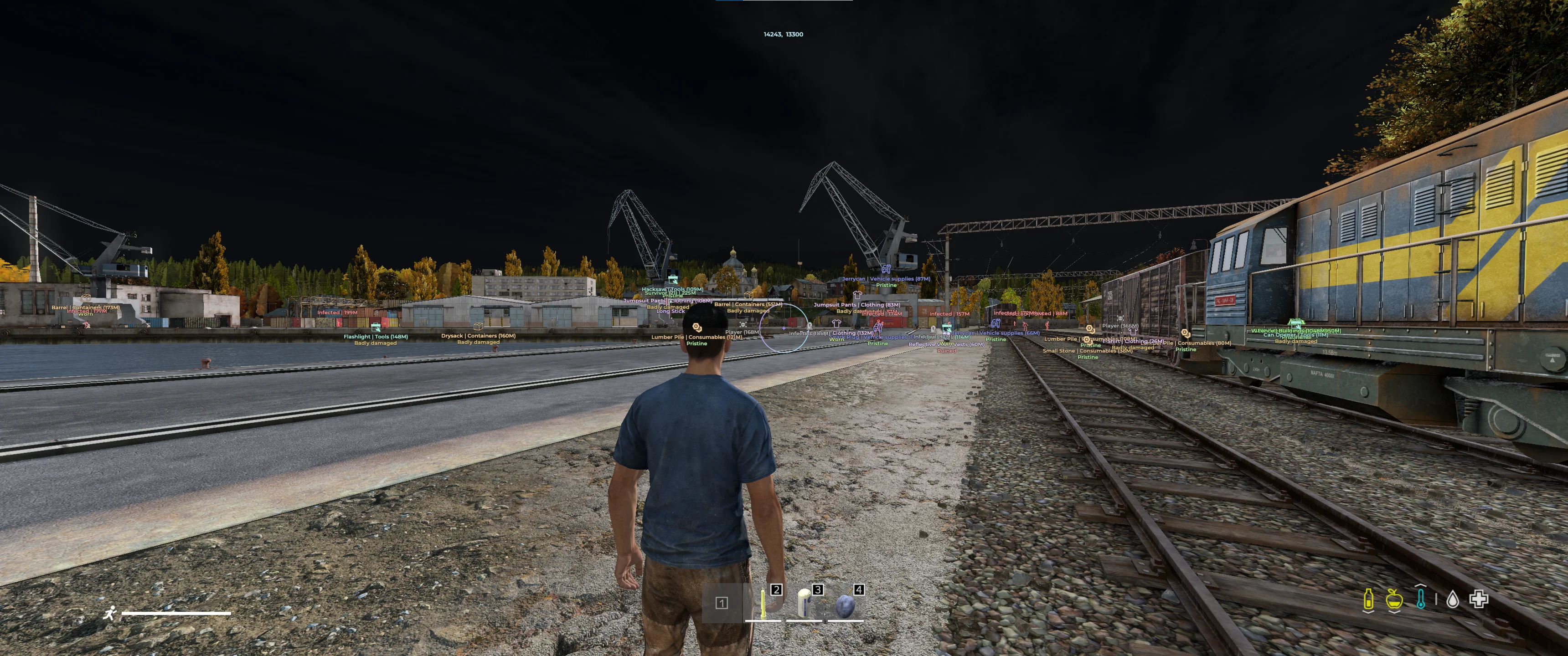 Medusa DayZ [3 days]