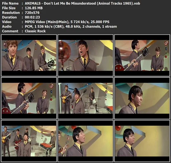 ANIMALS - Don't Let Me Be Misunderstood