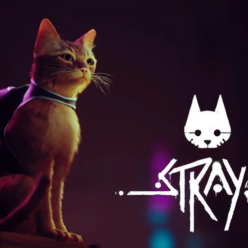 STRAY | EXPENSIVE GAMES | AUTO-DISCHARGE | STEAM ACC
