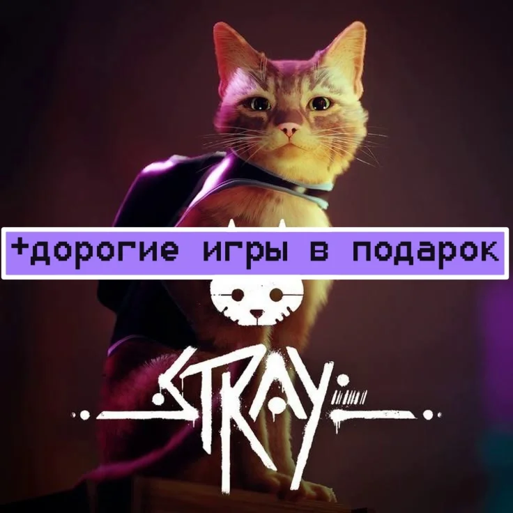 STRAY | EXPENSIVE GAMES | AUTO-DISCHARGE | STEAM ACC