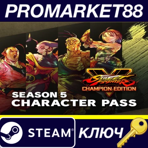 ⭐ Street Fighter V - Season 5 Character Pass DLC Steam
