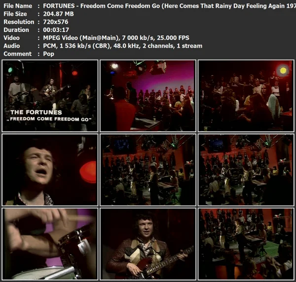 FORTUNES - Freedom Come Freedom Go