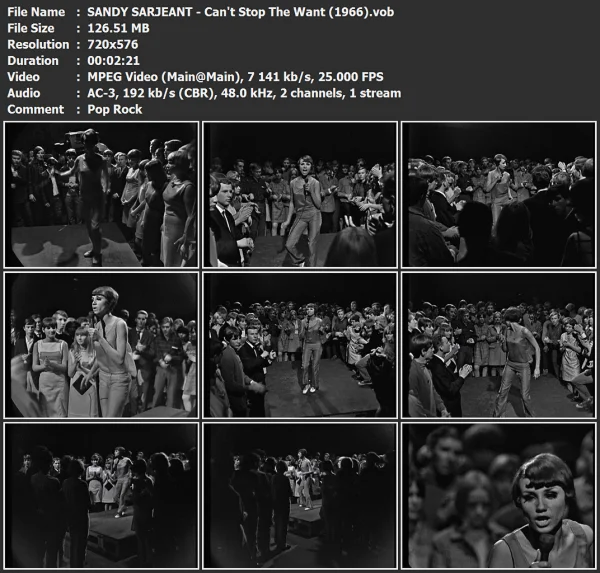 SANDY SARJEANT - Can't Stop The Want