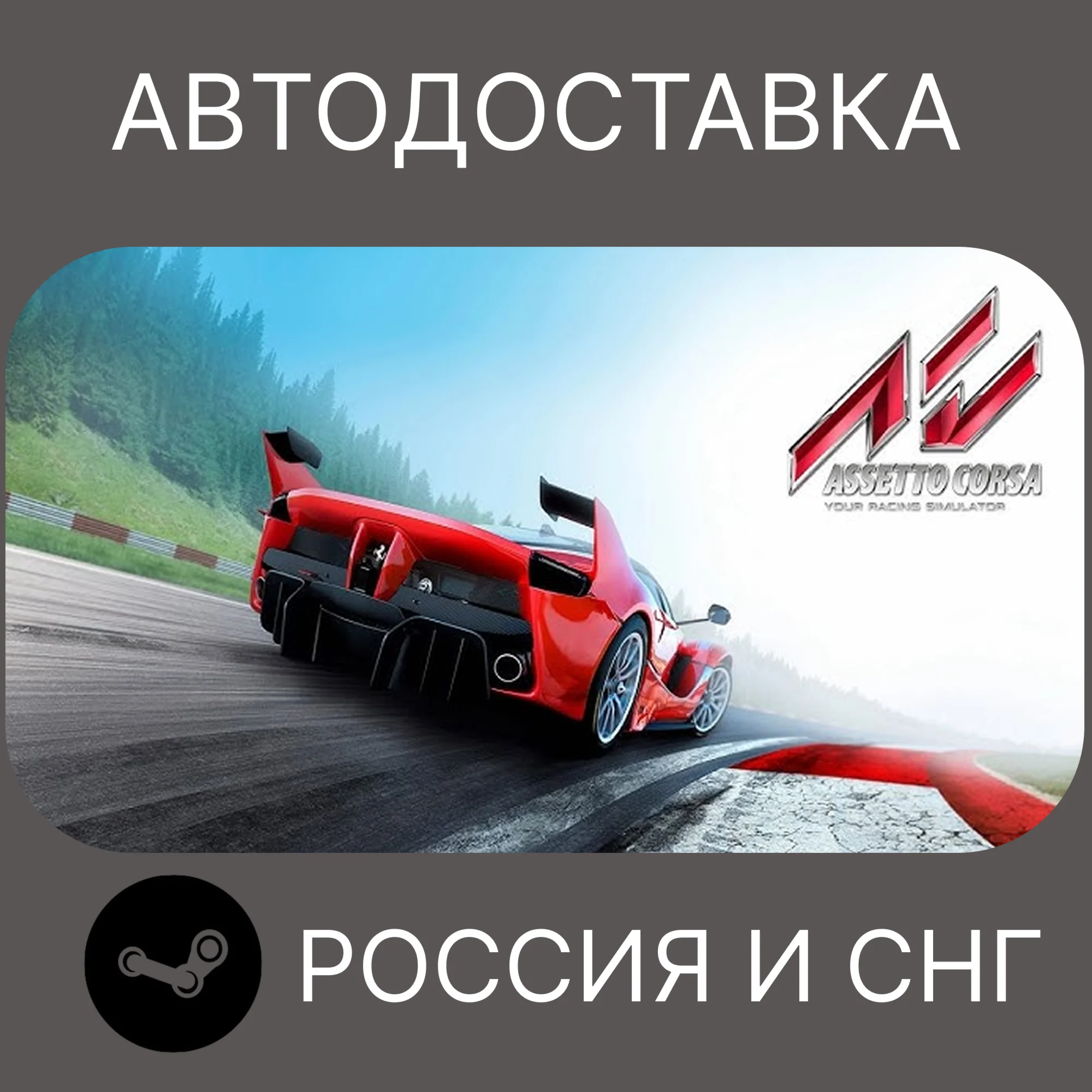 Assetto Corsa Steam Ключ РФ + СНГ