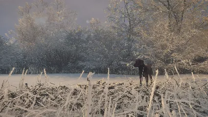 theHunter: Call of the Wild™ - Labrador Retriever DLC