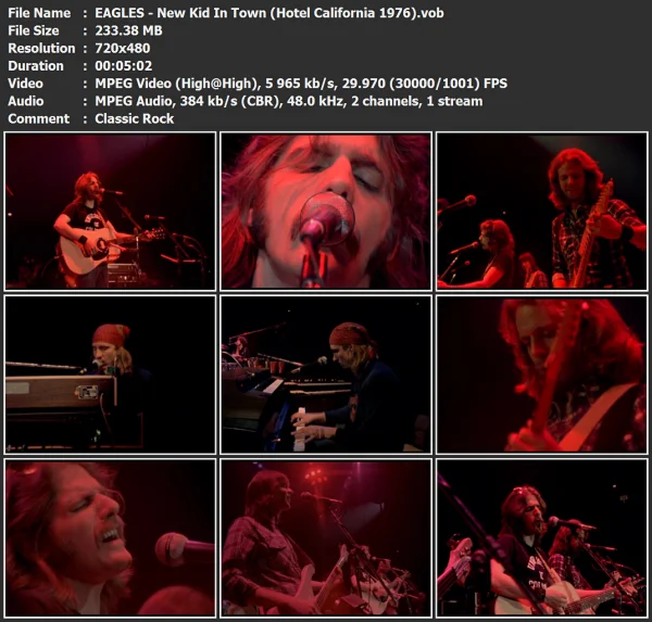 EAGLES - New Kid In Town
