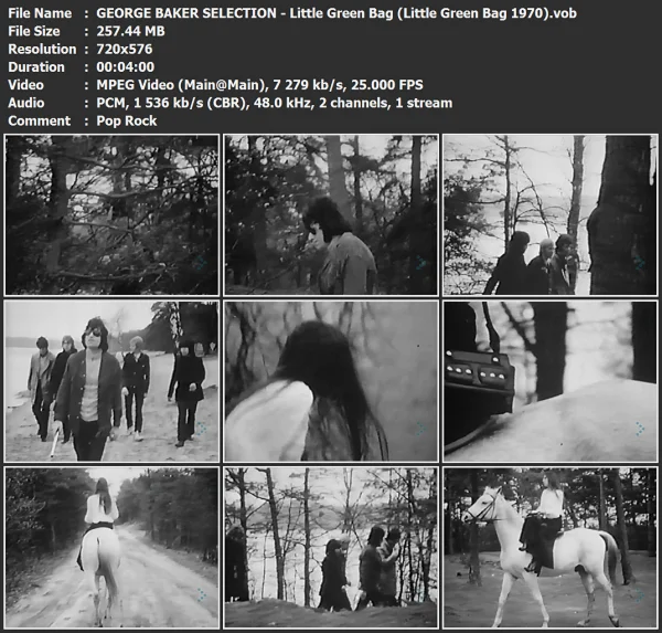 GEORGE BAKER SELECTION - Little Green Bag