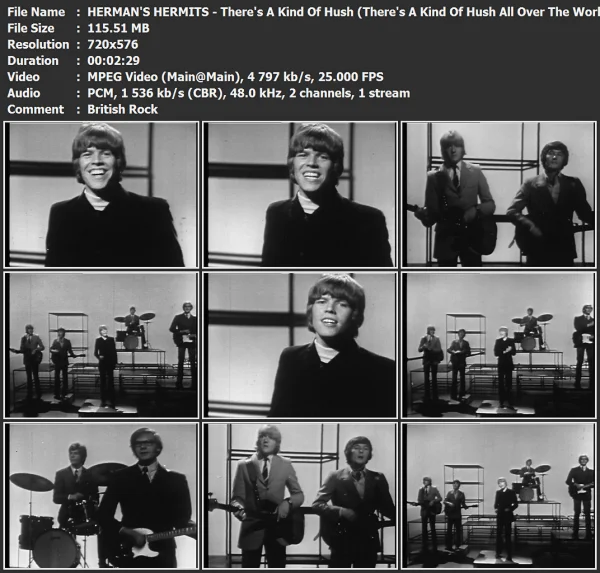 HERMAN'S HERMITS - There's A Kind Of Hush