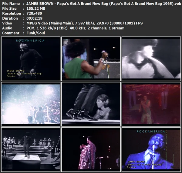 JAMES BROWN - Papa's Got A Brand New Bag