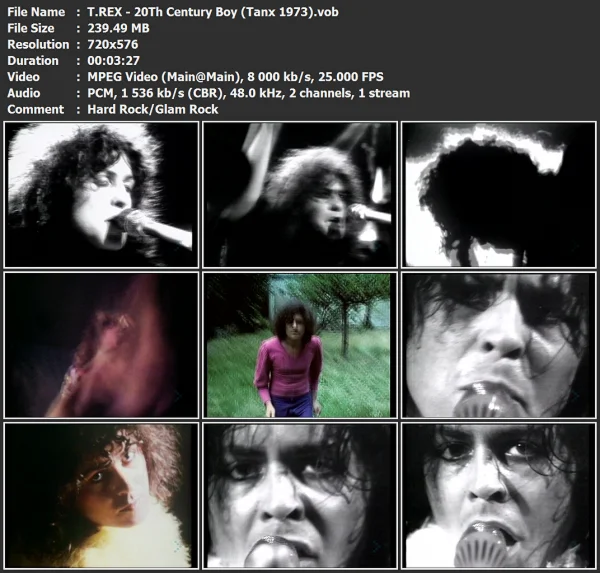 T.REX - 20th Century Boy